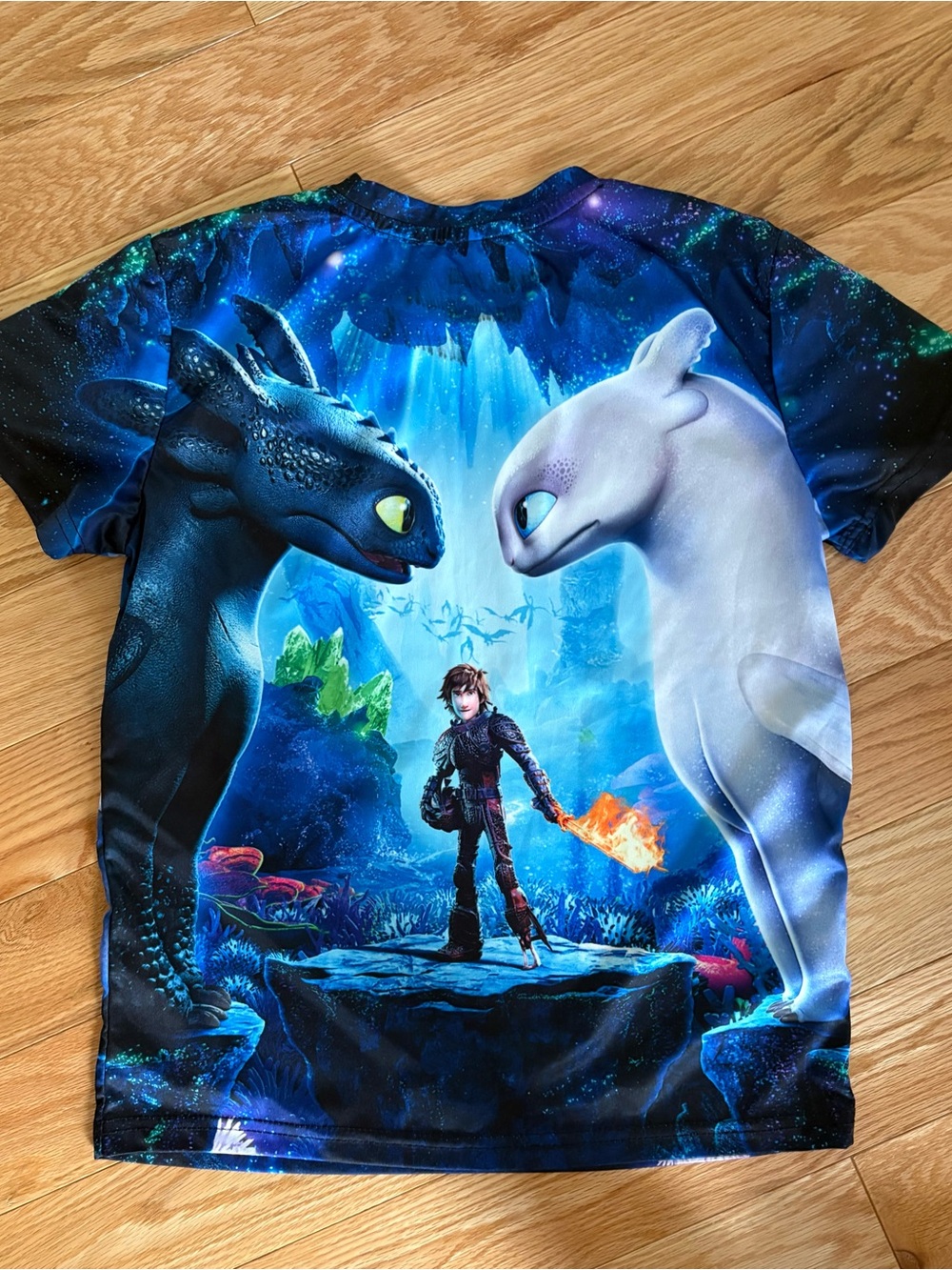 How to Train Your Dragon Graphic Tee - Black, Blue, White - Picture 2 of 4